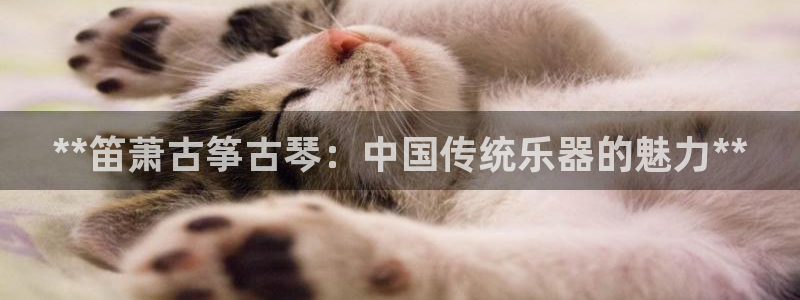 凯发k8手机网页
