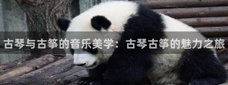 凯发国际可靠送38元