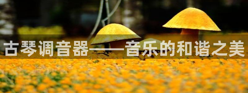 凯发k8官网so选来就送38