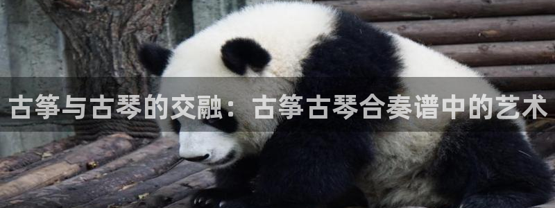 凯发官网地址