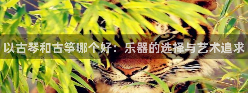 凯发app平台