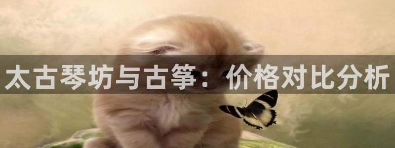 凯发官方网站是多少