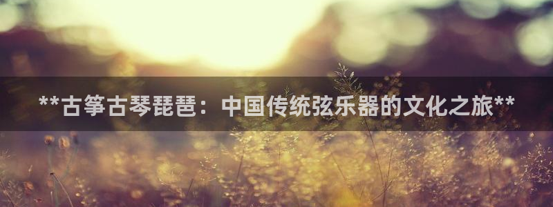凯发k8官方网娱乐官方真：**古筝古琴琵琶：中国传统弦乐器的