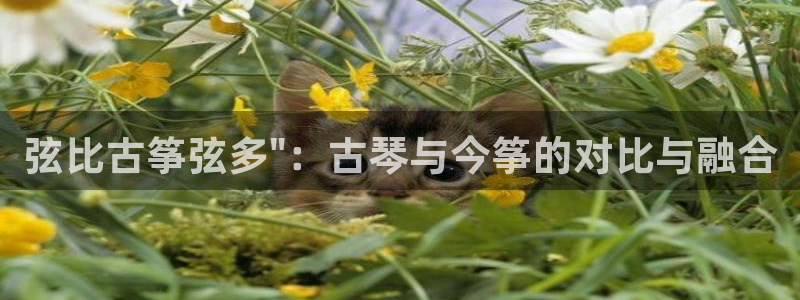 凯发注册app在线：弦比古筝弦多\