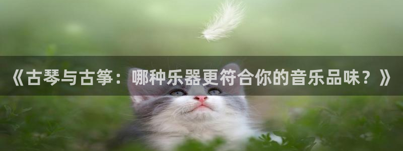 凯发登录网址：《古琴与古筝：哪种乐器更符合你的音乐品味？》