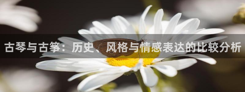 凯发官网网址多少：古琴与古筝：历史、风格与情感表达的比较分析