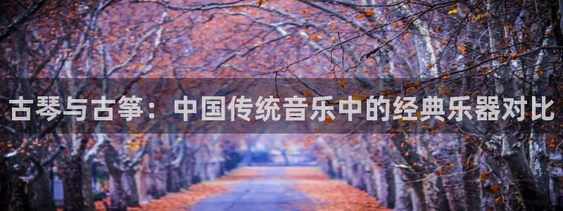 凯发网网站