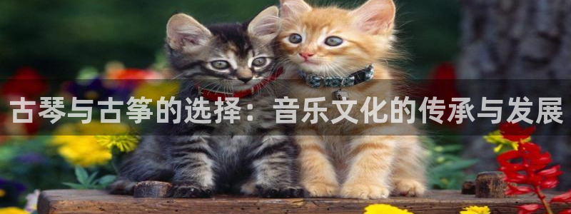 凯发k8手机是正品吗多少钱