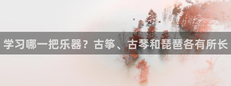 凯发就来凯发天生赢家一触即发：学习哪一把乐器？古筝、古琴和琵