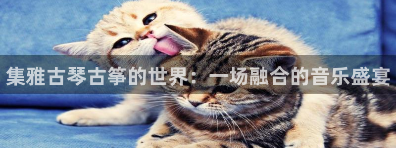 凯发国际网络平台网址