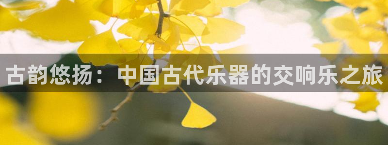 凯发k8娱乐官网网址中心