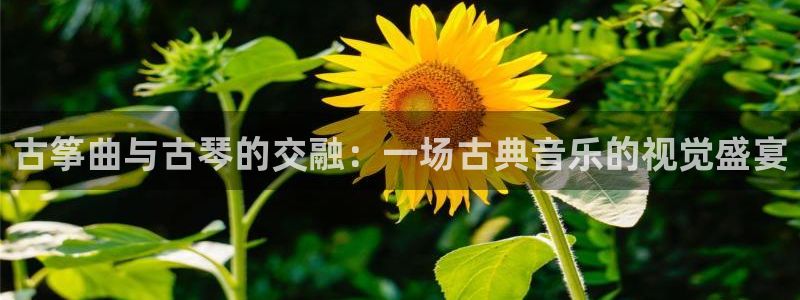 凯发k8娱乐平台能提现吗
