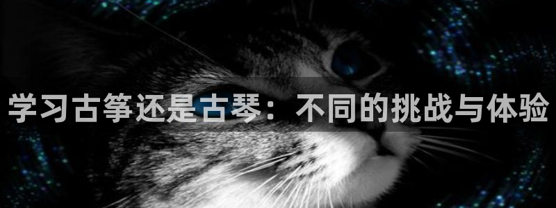 凯发k8国际app