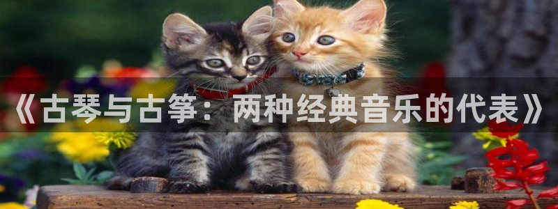 凯发k8娱乐倒闭了吗：《古琴与古筝：两种经典音乐的代表》