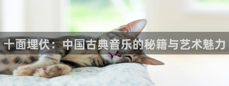 凯发k8旗舰厅app下载可靠送38元是真的吗：十面埋伏：中国
