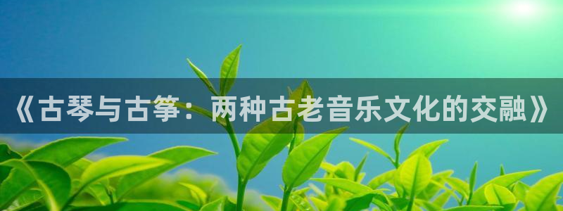 凯发网站是多少：《古琴与古筝：两种古老音乐文化的交融》