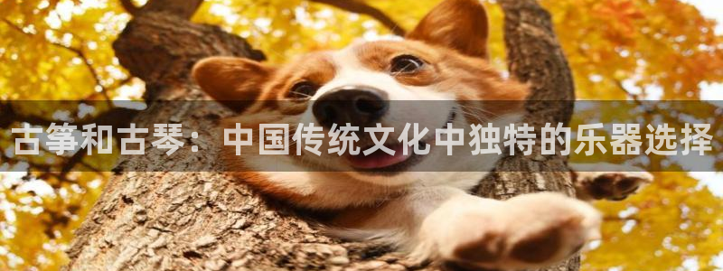 凯发k8娱乐品牌导航：古筝和古琴：中国传统文化中独特的乐器选