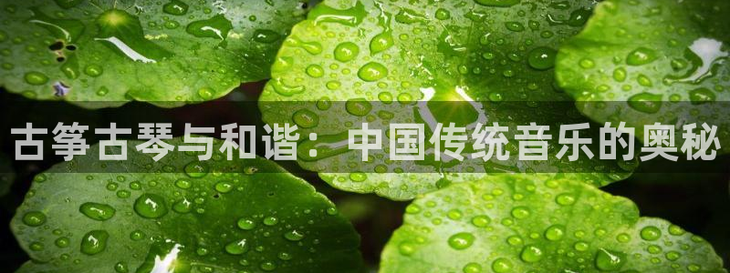凯发K8旗舰厅