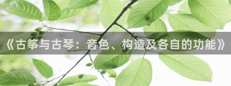 凯发k8国际真人娱乐旗舰厅：《古筝与古琴：音色、构造及各自的