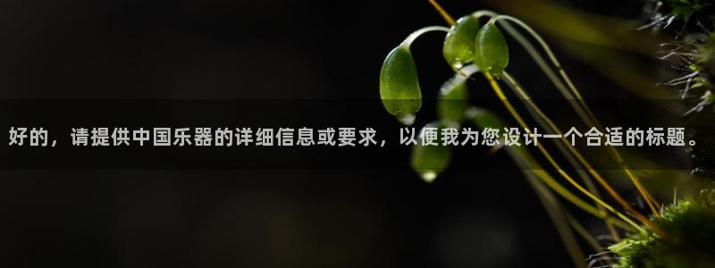凯发一触即发：好的，请提供中国乐器的详细信息或要求，以便我为