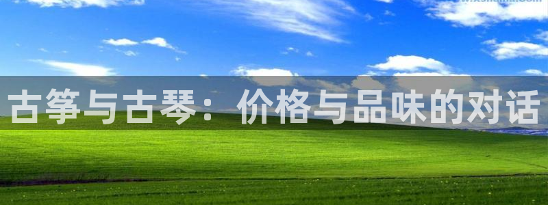 凯发k8国际 不能提款了：古筝与古琴：价格与品味的对话