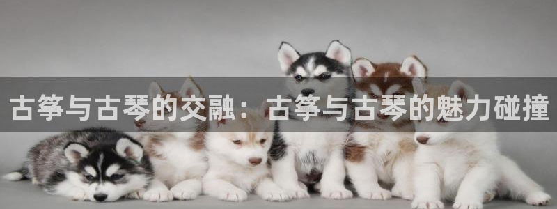凯发官网登录免费下载：古筝与古琴的交融：古筝与古琴的魅力碰撞