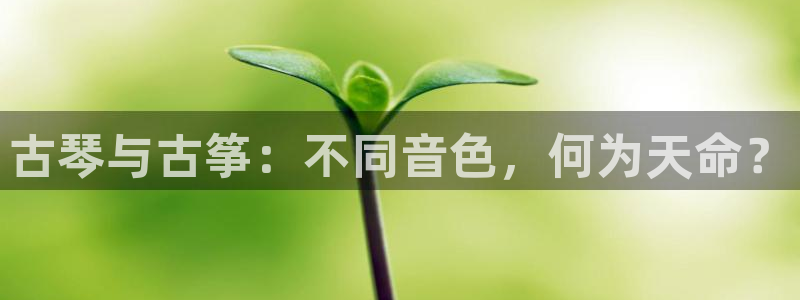 凯发k8官方：古琴与古筝：不同音色，何为天命？