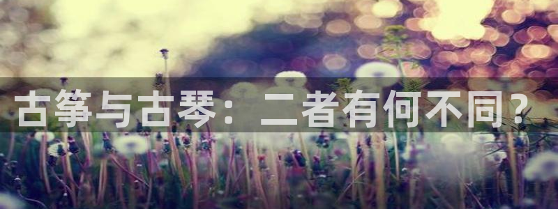 凯发平台敌7O777：古筝与古琴：二者有何不同？