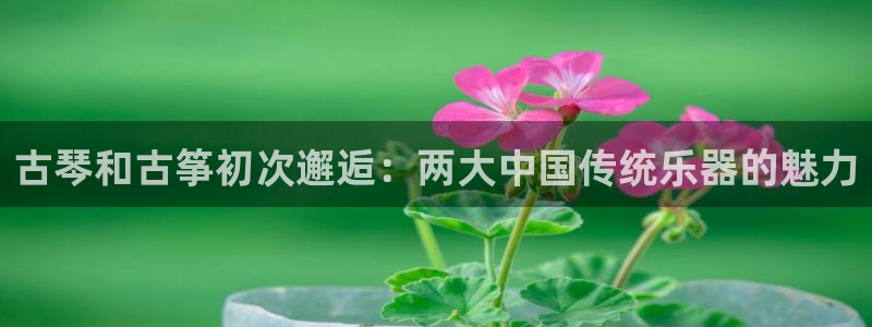 凯发国际是什么：古琴和古筝初次邂逅：两大中国传统乐器的魅力