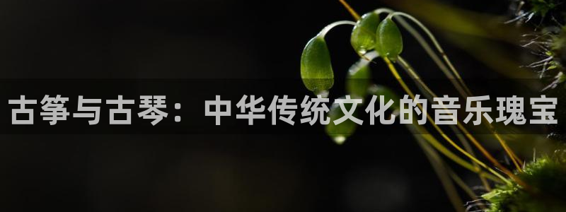 凯发网址登录：古筝与古琴：中华传统文化的音乐瑰宝