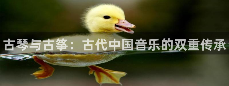 凯发注册app在线：古琴与古筝：古代中国音乐的双重传承